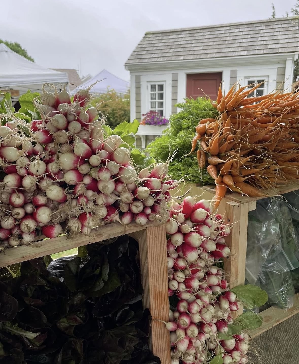 Farmers' Market