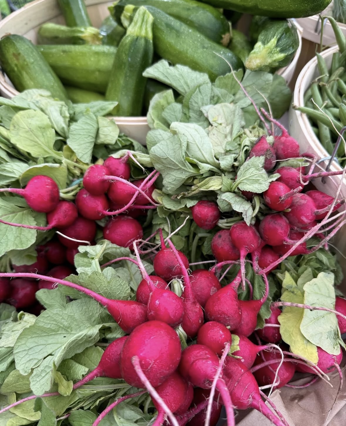 Osterville Farmers' Market scene 1