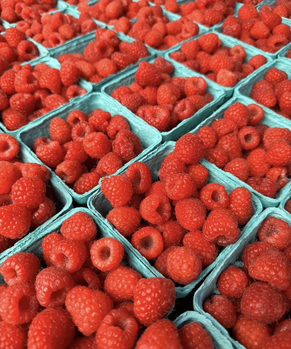 Osterville Farmers' Market scene 3