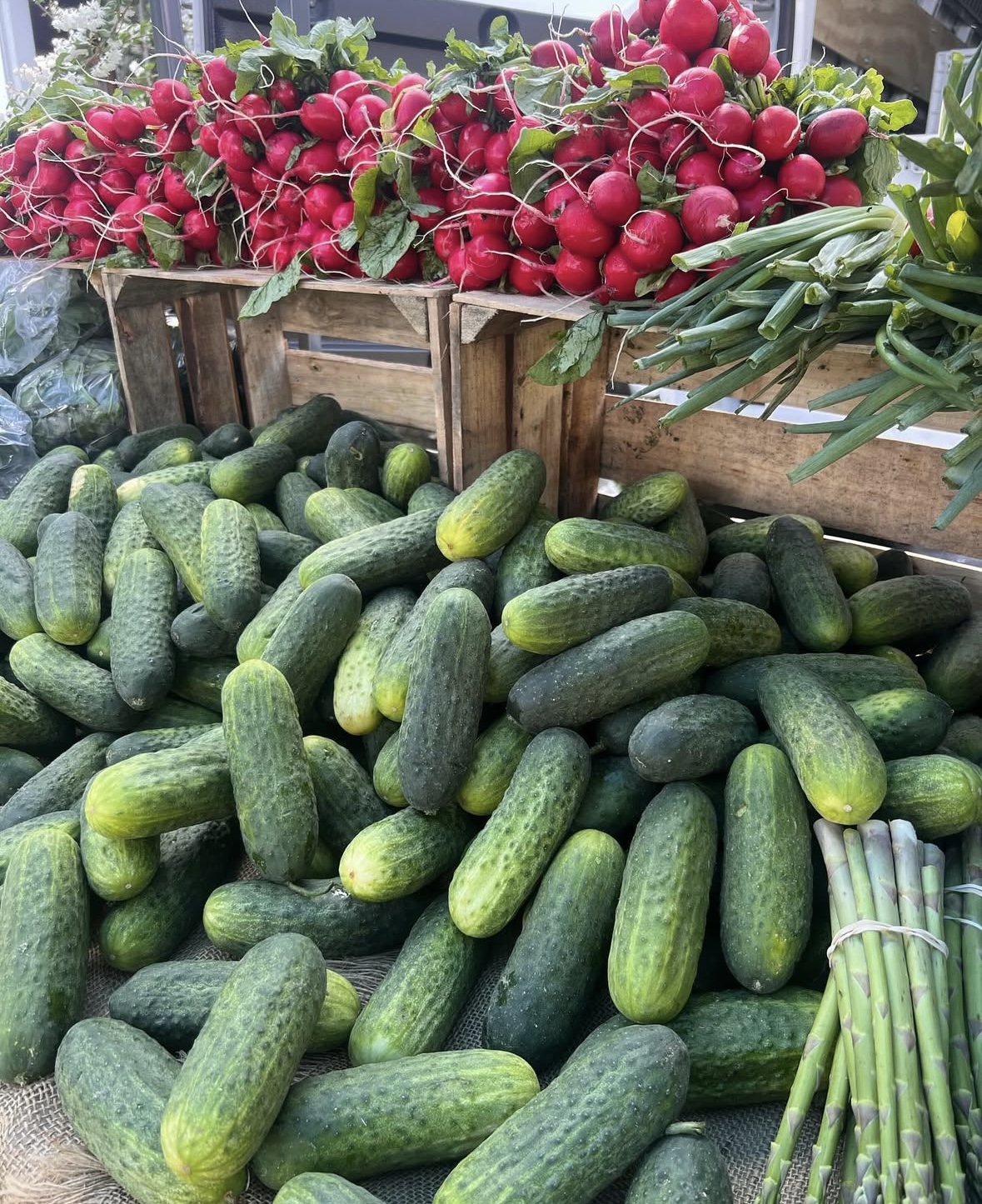 Osterville Farmers' Market scene 5