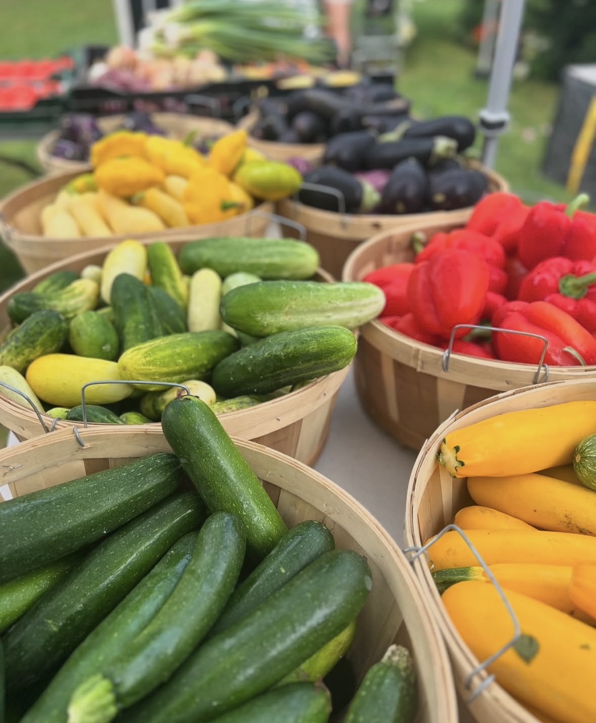 Osterville Farmers' Market scene 6