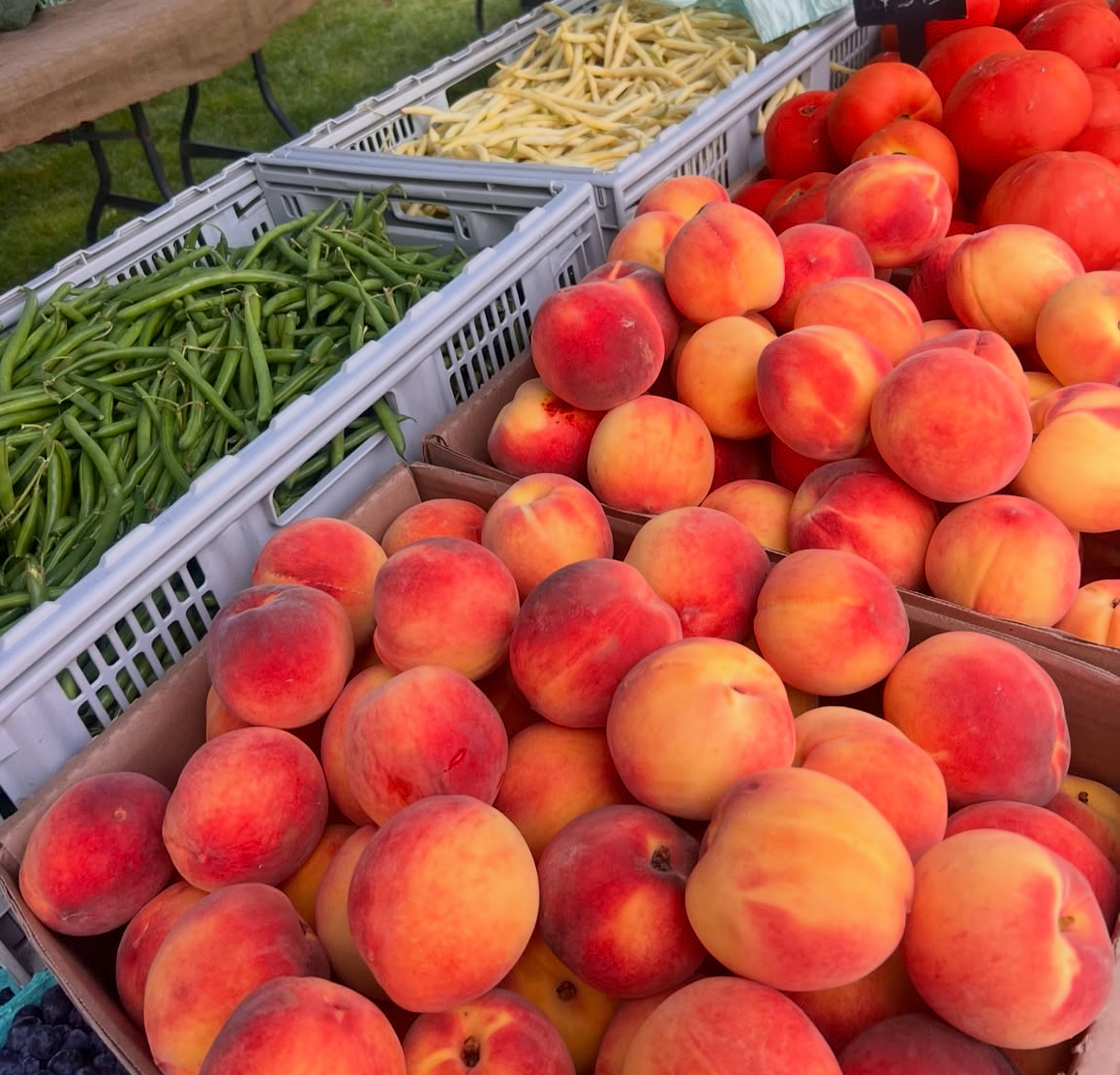 Osterville Farmers' Market scene 7