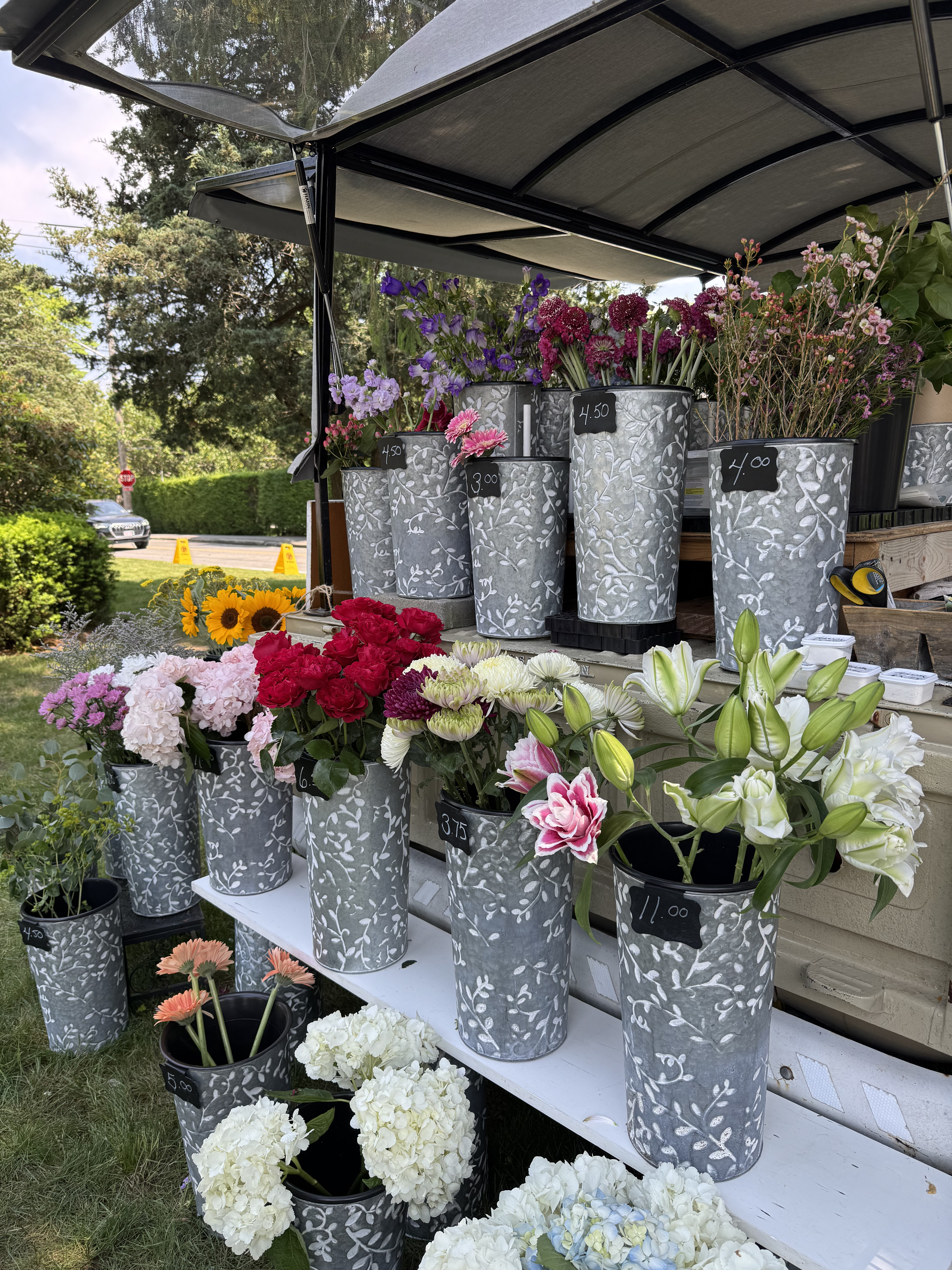 Osterville Farmers' Market scene 11