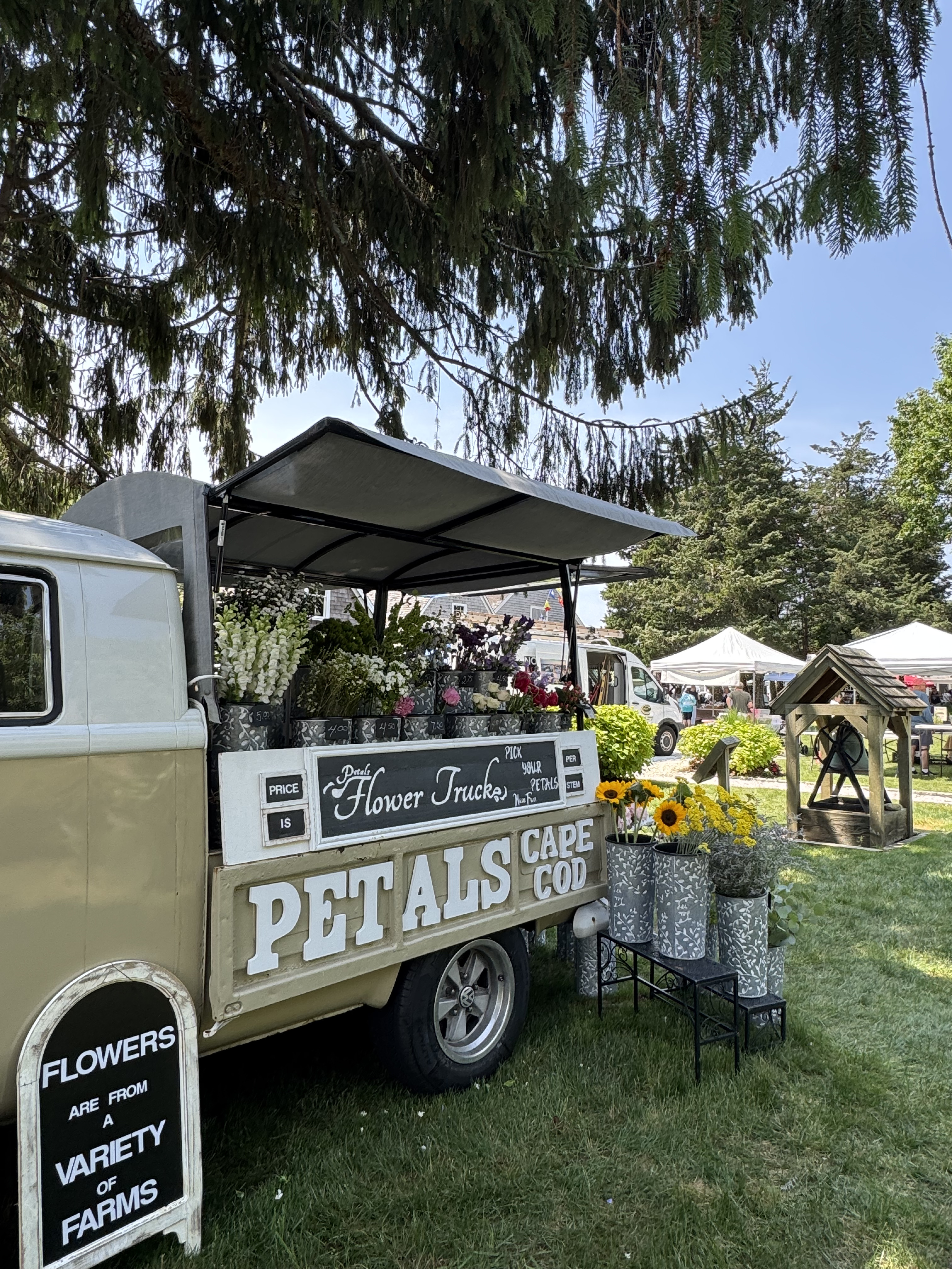 Osterville Farmers' Market scene 12